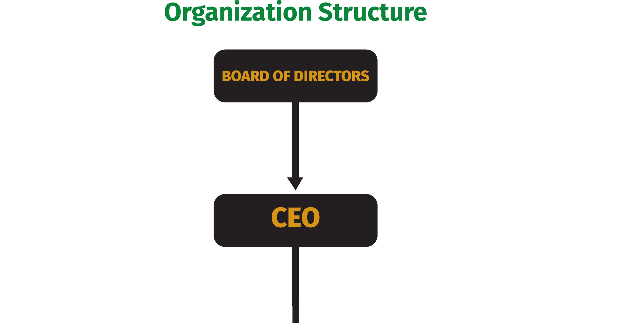 Organization Structure
